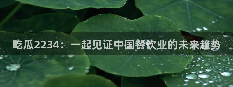 吃瓜网是全网更新最快