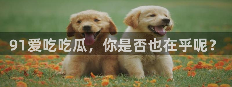 吃瓜最新