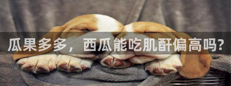 91今日吃瓜热门大瓜