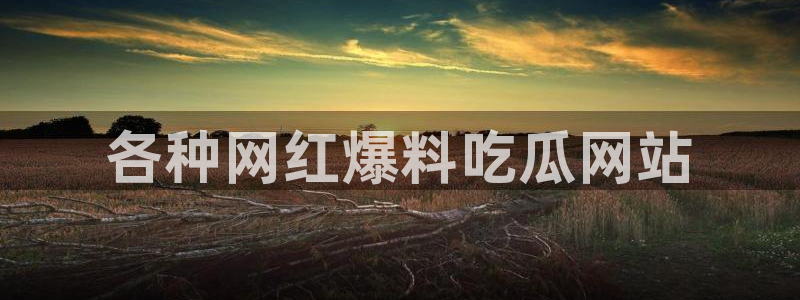 51吃瓜全网吃最快的瓜：各种网红爆料吃瓜网站