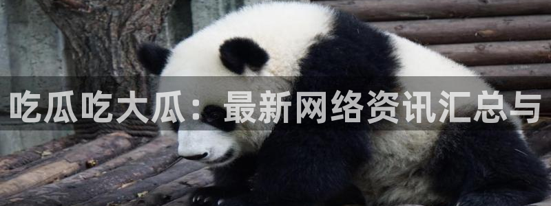 51吃瓜网小鹿酱：吃瓜吃大瓜：最新网络资讯汇总与