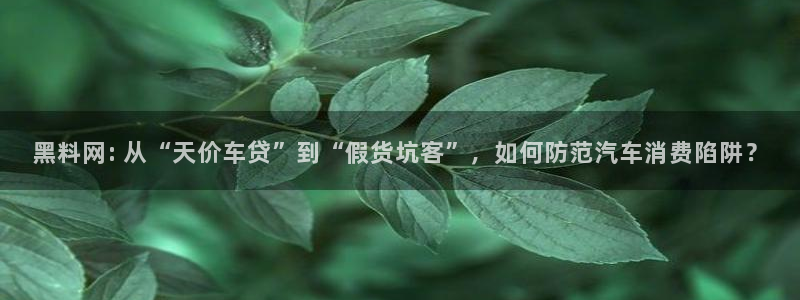 黑料：黑料网: 从“天价车贷”到“假货坑客”，如何防范汽车消费陷阱？