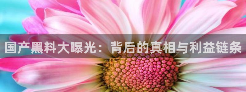 51cgfun每日吃瓜