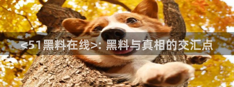 51吃瓜安卓下载：<51黑料在线>: 黑料与真相的交汇点