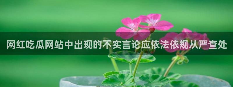 吃瓜的意思：网红吃瓜网站中出现的不实言论应依法依规从严查处