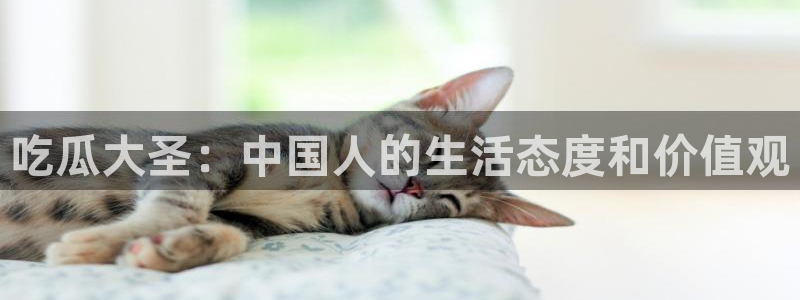 吃瓜什么意思：吃瓜大圣：中国人的生活态度和价值观