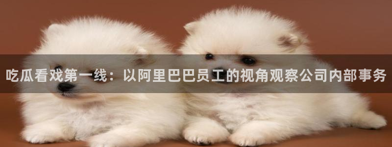 51吃瓜今日吃瓜官网最新：吃瓜看戏第一线：以阿里巴巴员工的视角观察公司内部事务