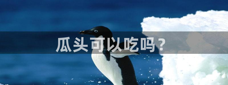 黑料下载：瓜头可以吃吗？