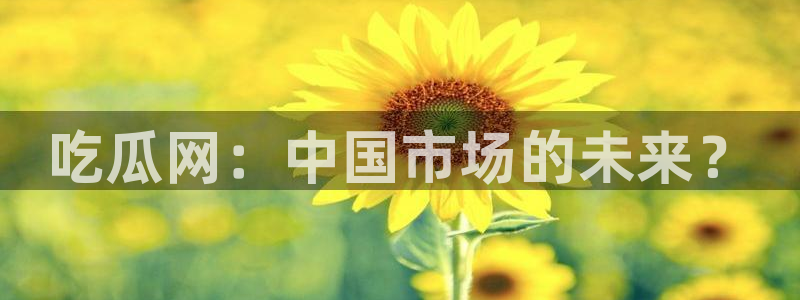 51cg10今日吃瓜：吃瓜网：中国市场的未来？
