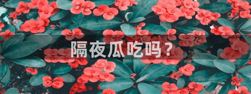 国产精品韩日中出吃瓜：隔夜瓜吃吗？