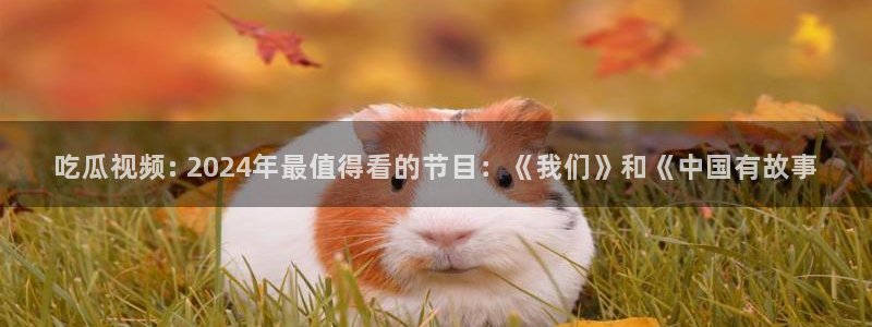 51吃瓜nanataipei：吃瓜视频: 2024年最值得看的节目：《我们》和《中国有故事