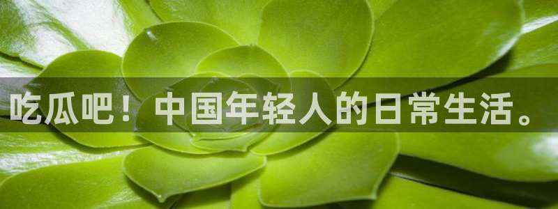 豆瓣自由吃瓜基地：吃瓜吧！中国年轻人的日常生活。