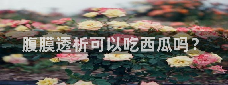 吃瓜小说