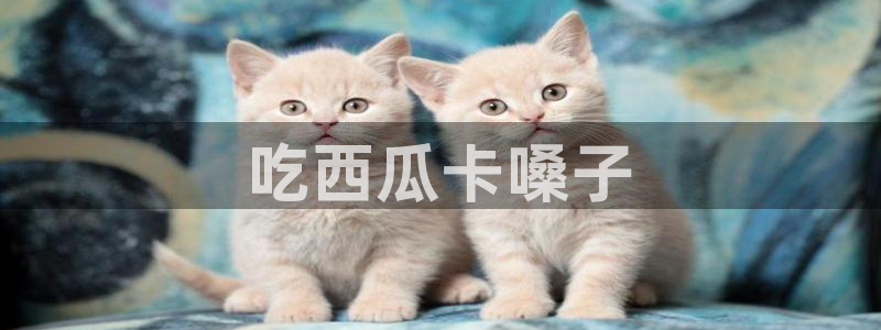 91吃瓜网今日吃瓜入口：吃西瓜卡嗓子