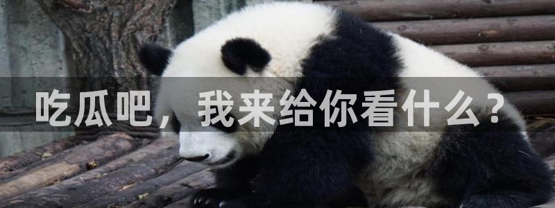 吃瓜是什么意思?：吃瓜吧，我来给你看什么？